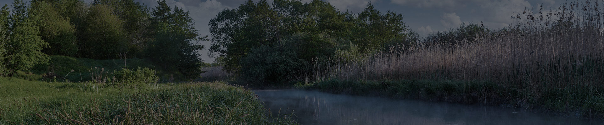 grass and trees next to pond with odor and corrosion control
