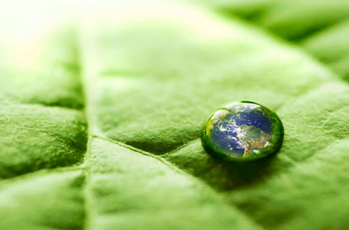 drop of water on leaf